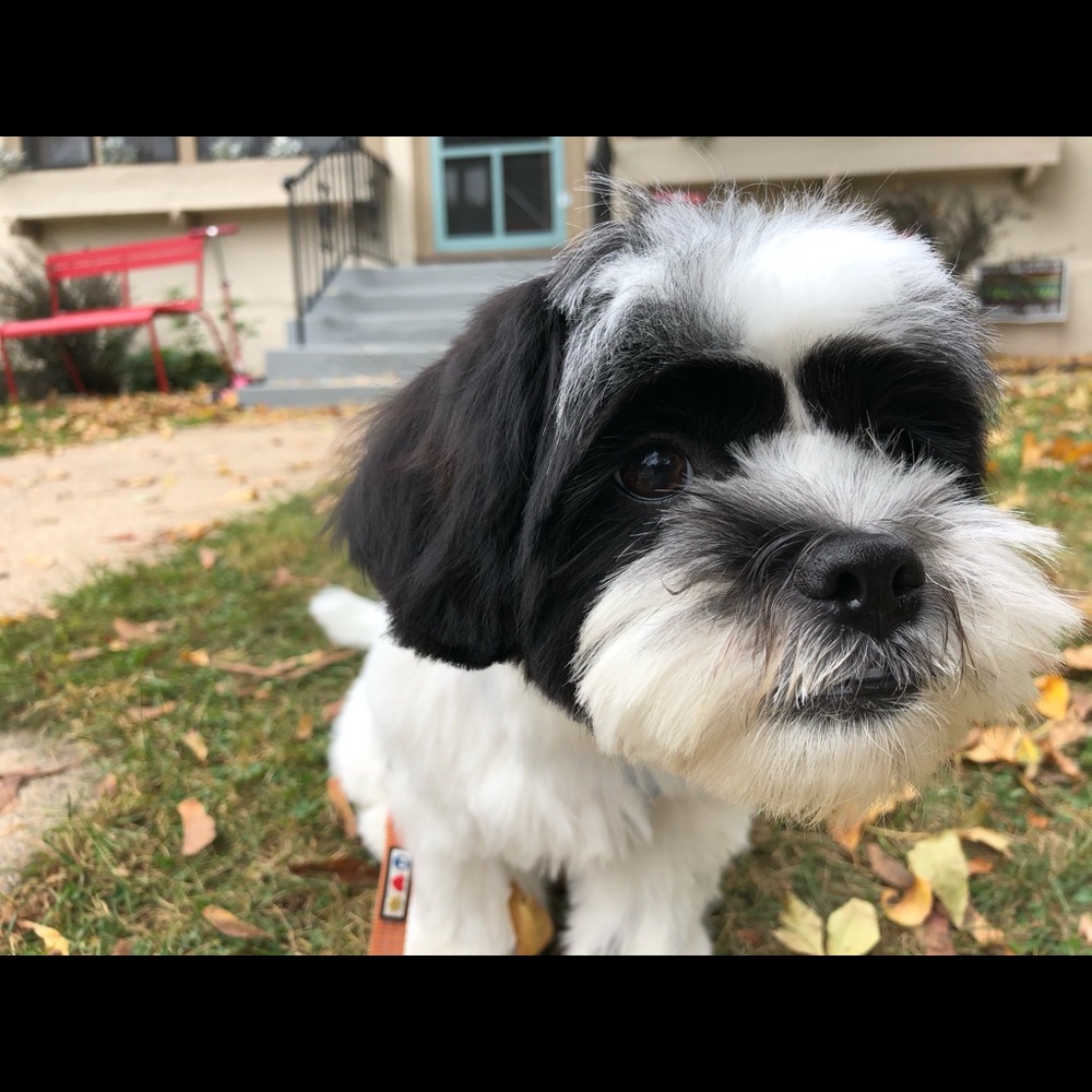 Meet your Posher, Matthew